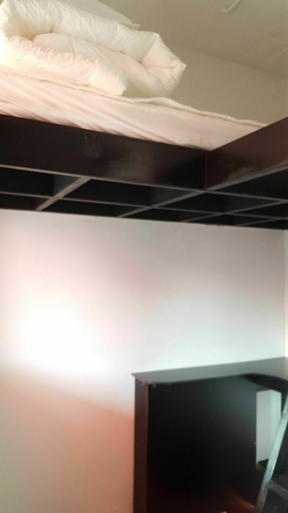 Amazon Guesthouse Σεούλ Εξωτερικό φωτογραφία