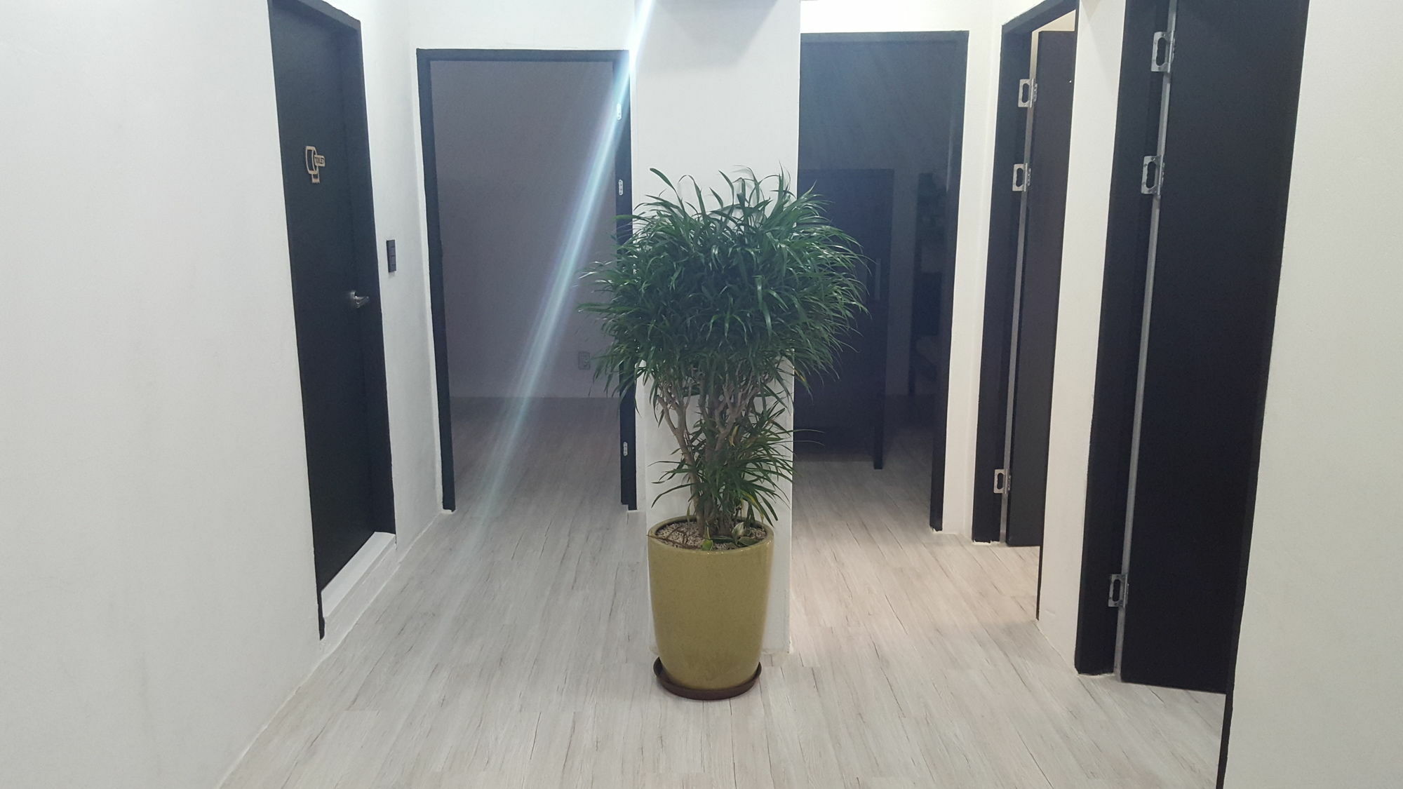 Amazon Guesthouse Σεούλ Εξωτερικό φωτογραφία