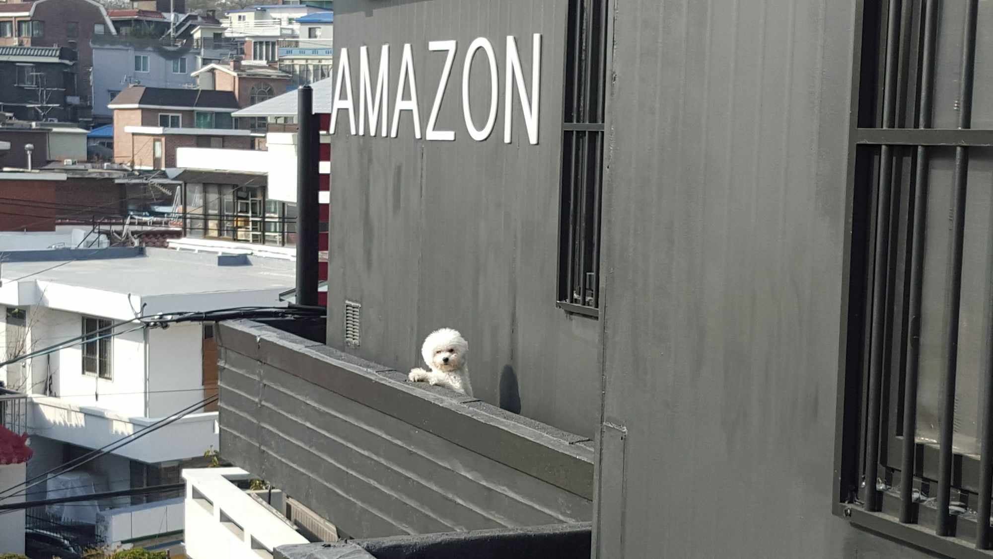 Amazon Guesthouse Σεούλ Εξωτερικό φωτογραφία